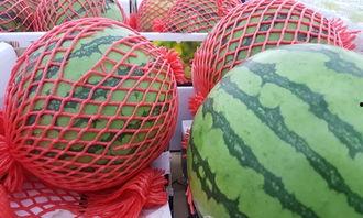 隔网吃瓜,揭秘网络“吃瓜”文化的魅力与影响