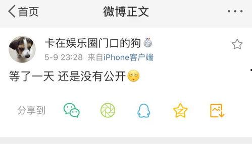 qq上的吃瓜爆料,QQ爆料背后的真相与争议